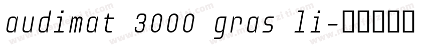 audimat 3000 gras li字体转换